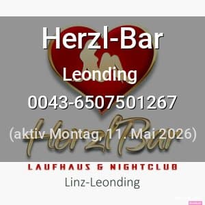 Escort Herzl-Bar in Leonding