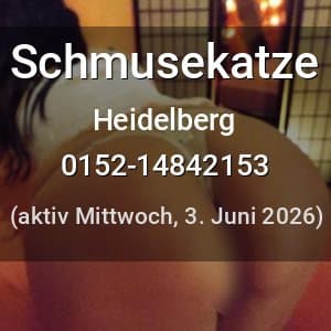 Escort Schmusekatze in Heidelberg