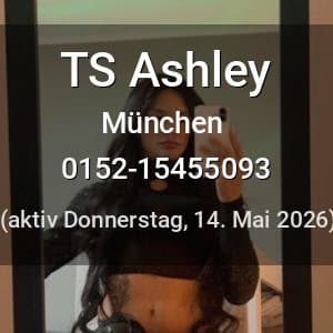 Escort TS Ashley in Frankfurt am Main