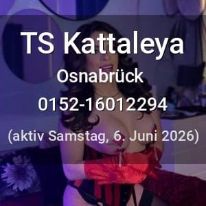 Escort TS Kattaleya in Osnabrück