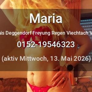 Escort Maria in Cham