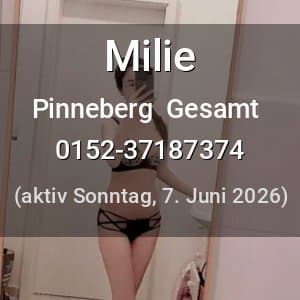 Escort Milie in Pinneberg  Gesamt