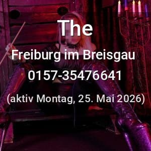 Escort The in Freiburg im Breisgau
