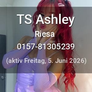 Escort TS Ashley in Riesa