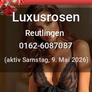 Escort Luxusrosen in Reutlingen