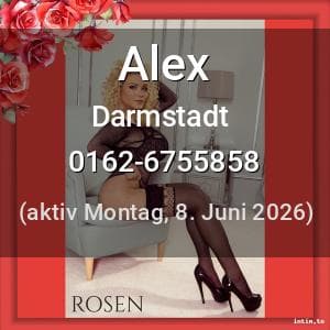 Escort Alex in Darmstadt