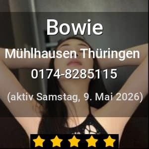 Escort Bowie in Kassel