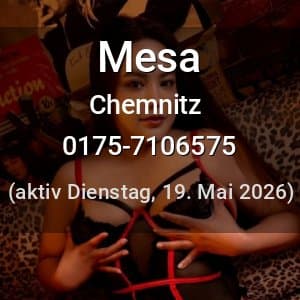 Escort Mesa in Dessau