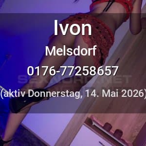 Escort Ivon in Melsdorf