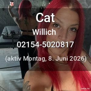Escort Cat in Willich